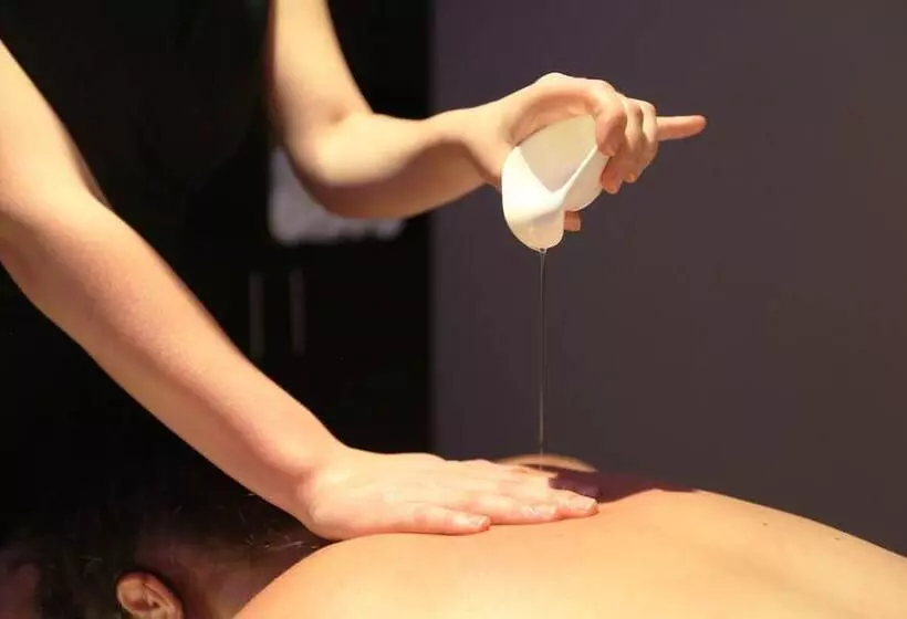 בית מלון כפרי Les Maritonnes Parc & Vignoble