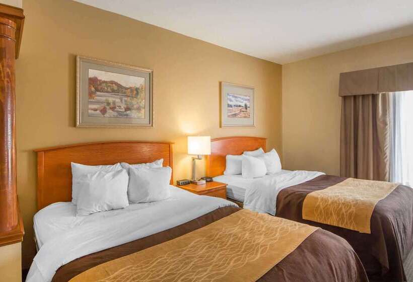 בית מלון כפרי Quality Inn & Suites Midamerica Industrial Park Area