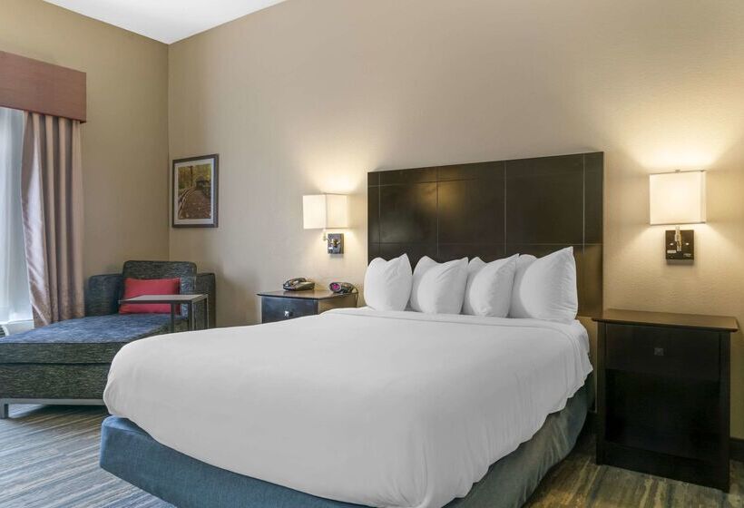 ホテル Comfort Inn & Suites