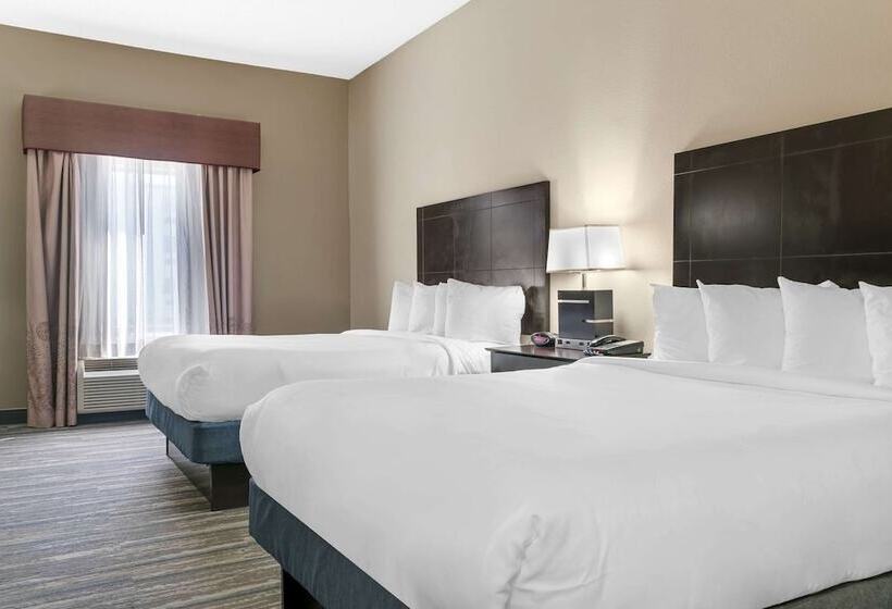 ホテル Comfort Inn & Suites