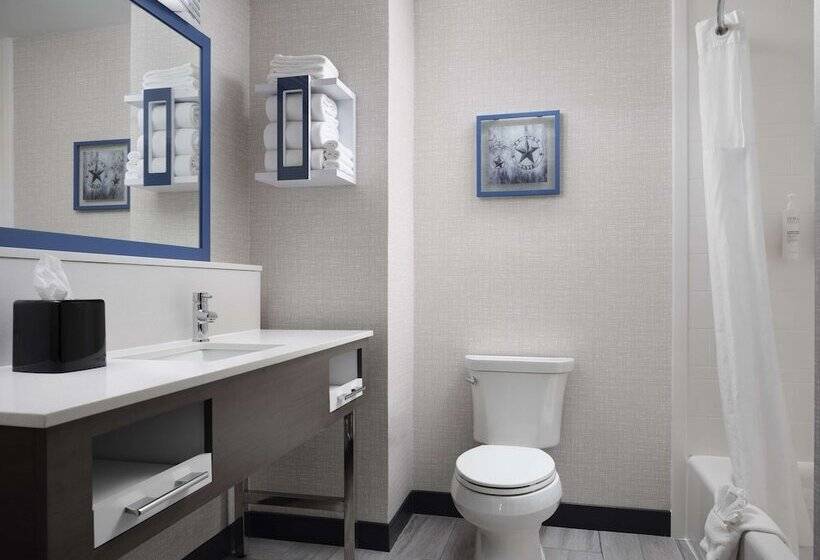 Hotel Hampton Inn & Suites Dallas Dfw Arpt W Sh 183 Hurst