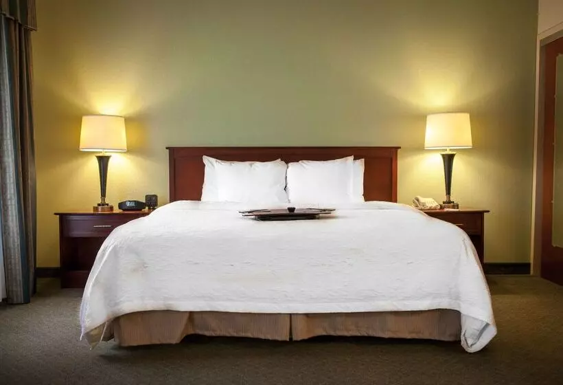 هتل Hampton Inn & Suites Springfield Southwest