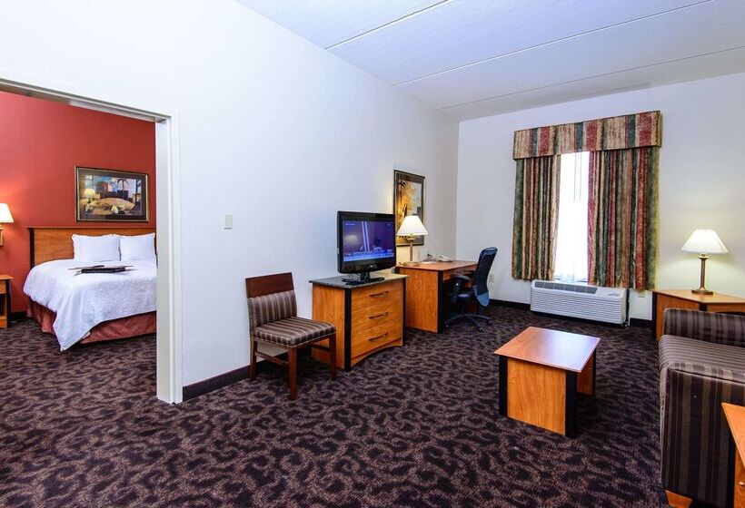 ホテル Hampton Inn Houstonpearland