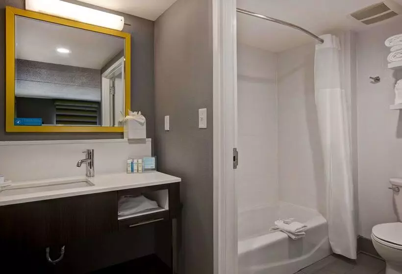 Отель Hampton Inn Olive Branch