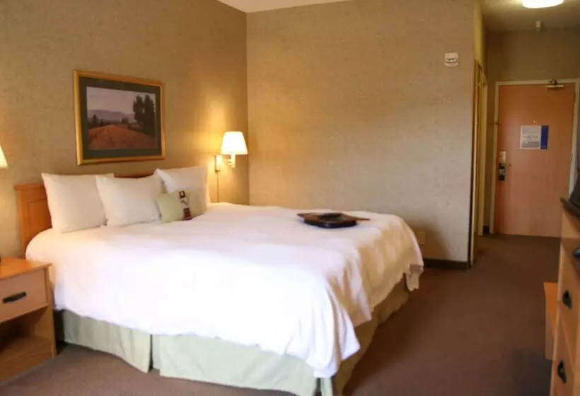 هتل Hampton Inn & Suites Kalamazoooshtemo