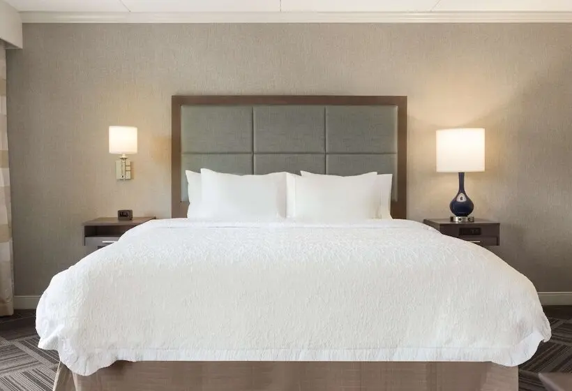 ホテル Hampton Inn & Suites Manchesterbedford