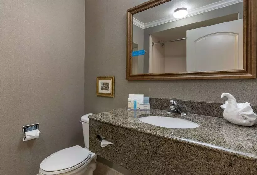 ホテル Hampton Inn Ukiah Ca