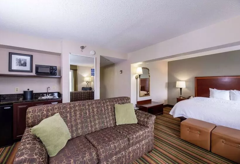 هتل Hampton Inn Winstonsalem Hanes Mall