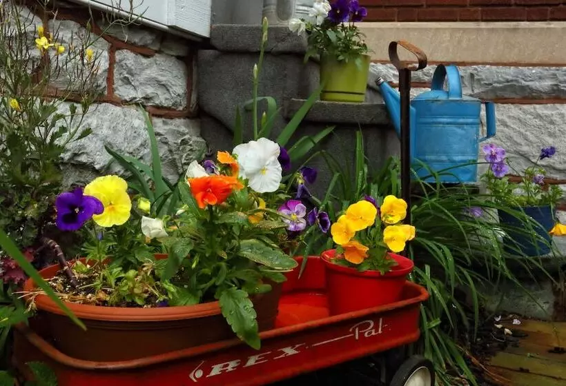 ホテル Olde Square Inn B&b