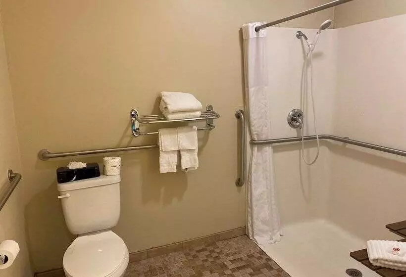 酒店 Surestay Plus By Best Western Jonestown Lebanon Valley