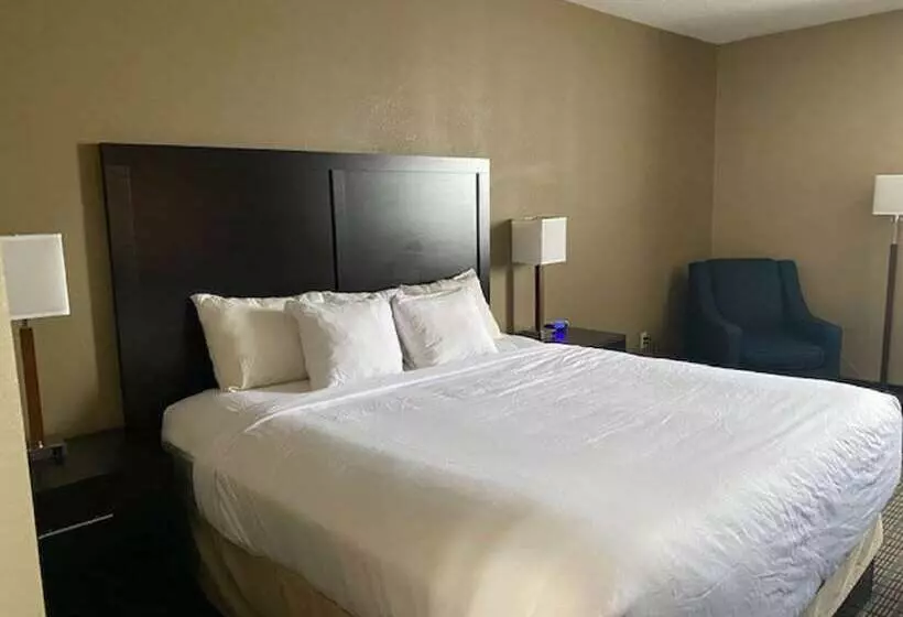 酒店 Surestay Plus By Best Western Jonestown Lebanon Valley