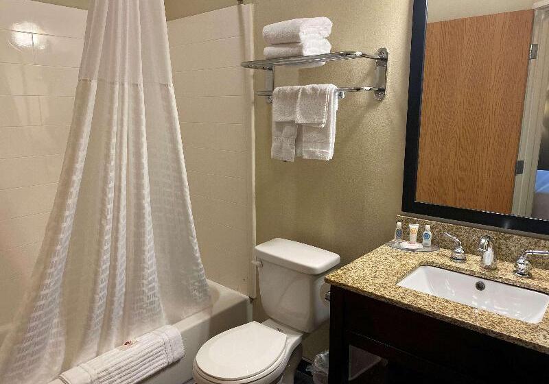 酒店 Surestay Plus By Best Western Jonestown Lebanon Valley