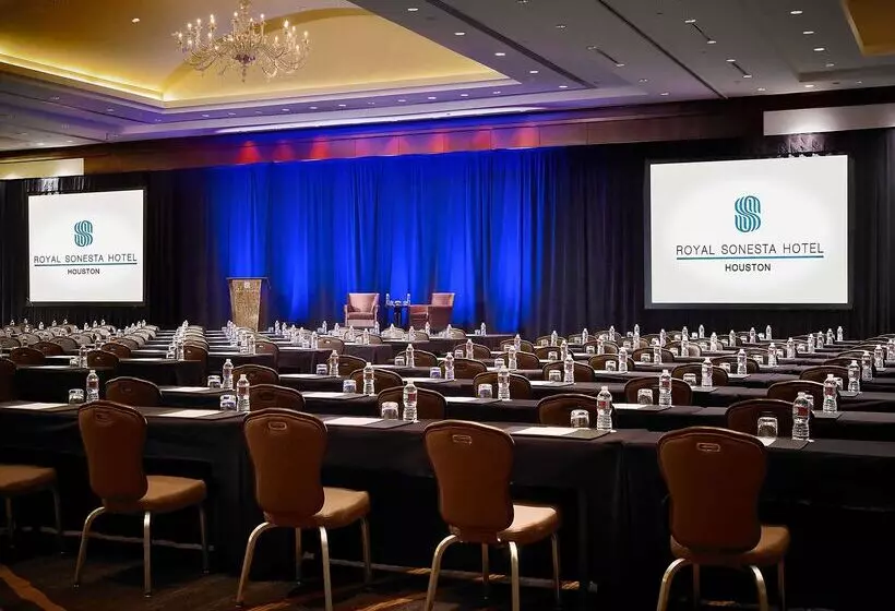 酒店 The Royal Sonesta Houston Galleria