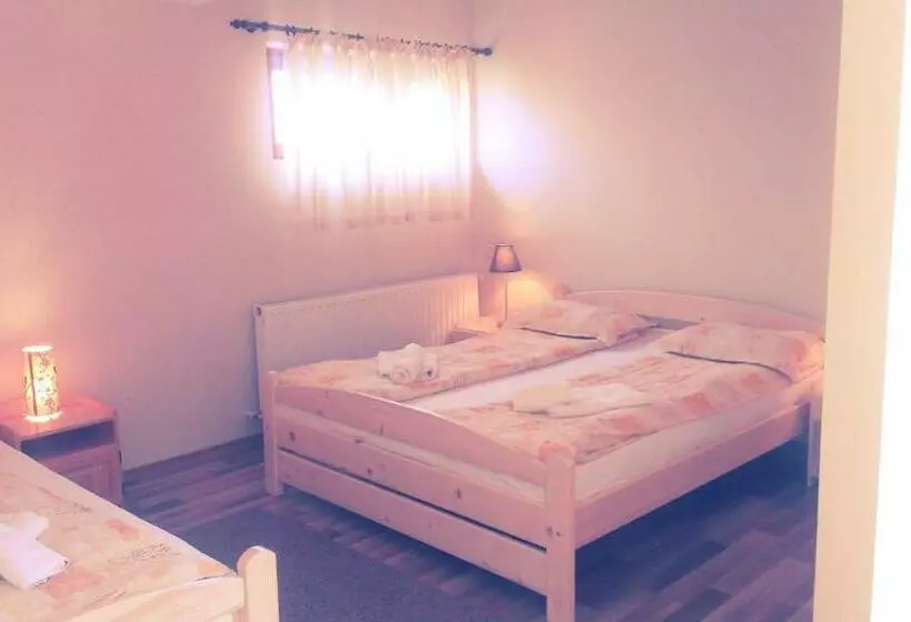 Csatári Pensiune Praid