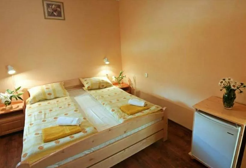 Csatári Pensiune Praid