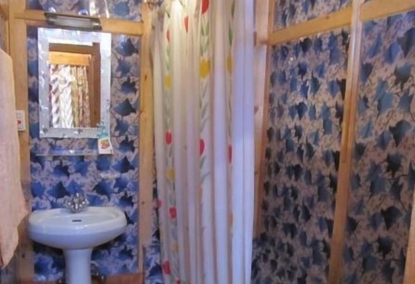 فندق Young Bombay Premium Heritage Houseboat , Srinagar