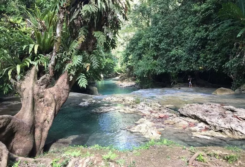 Aamiaismajoitus (B&B) Lagoona Beach Bungalows   Eco Bungalows Batukaras