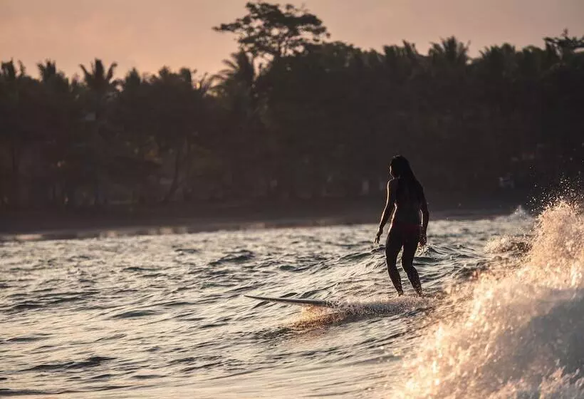 Aamiaismajoitus (B&B) Lagoona Beach Bungalows   Eco Bungalows Batukaras