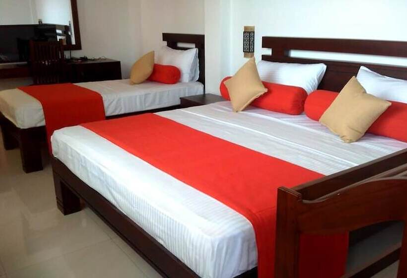 ベッドアンドブレックファースト Vin Roma Inn