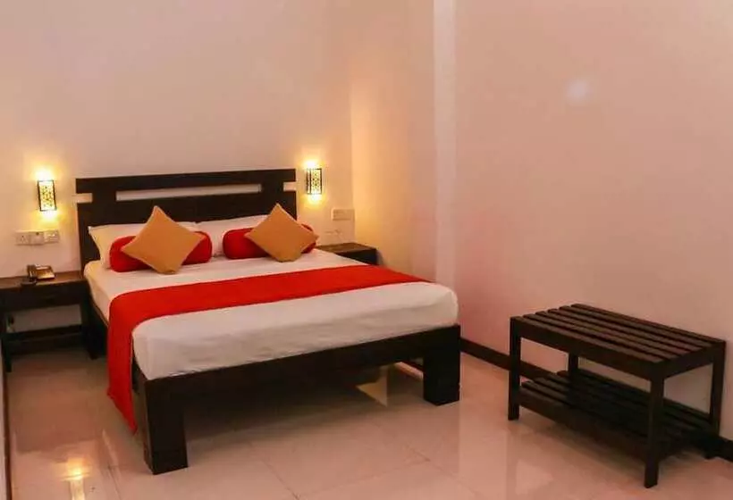 Aamiaismajoitus (B&B) Vin Roma Inn