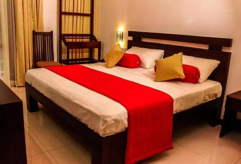 Aamiaismajoitus (B&B) Vin Roma Inn