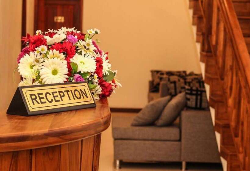 ベッドアンドブレックファースト Vin Roma Inn