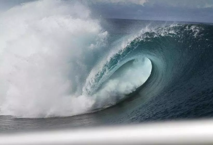 ホテル El Merlin   Cabo Blanco