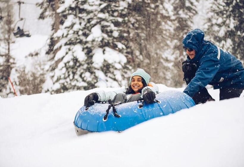 호텔 Ski Trails 4042