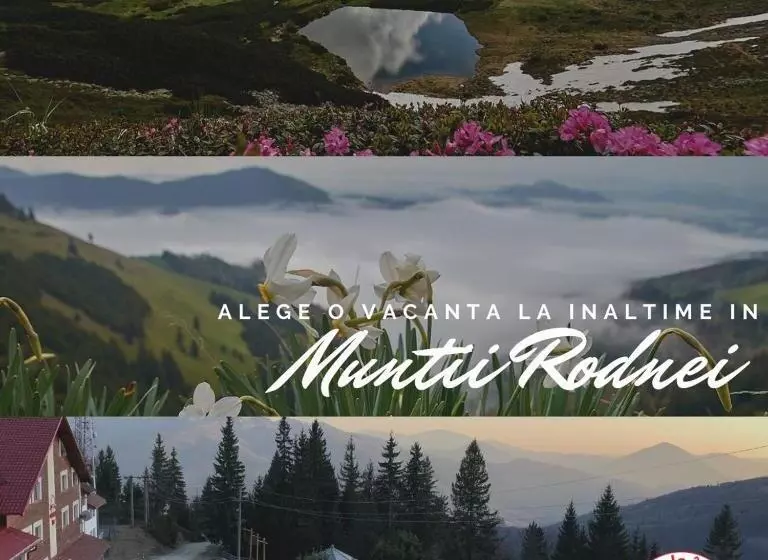 Majatalo Complex Turistic Alpina Blazna Sant