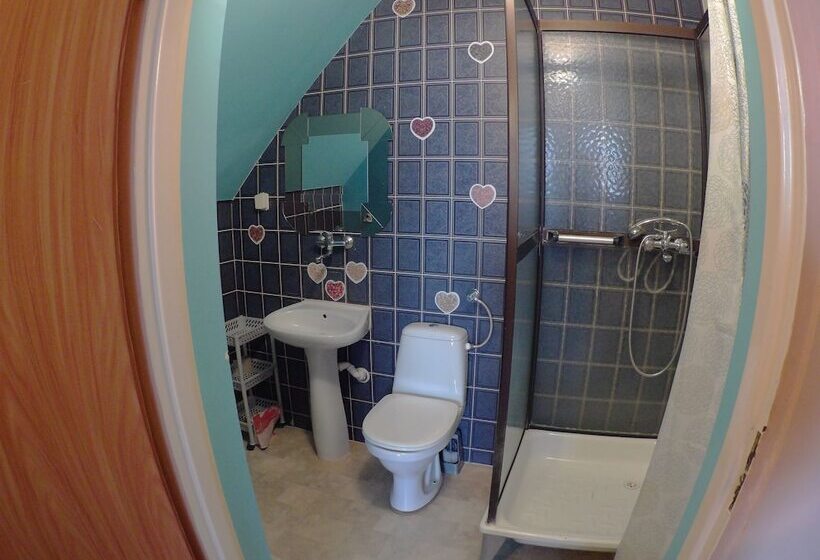 פנסיון Domlesny