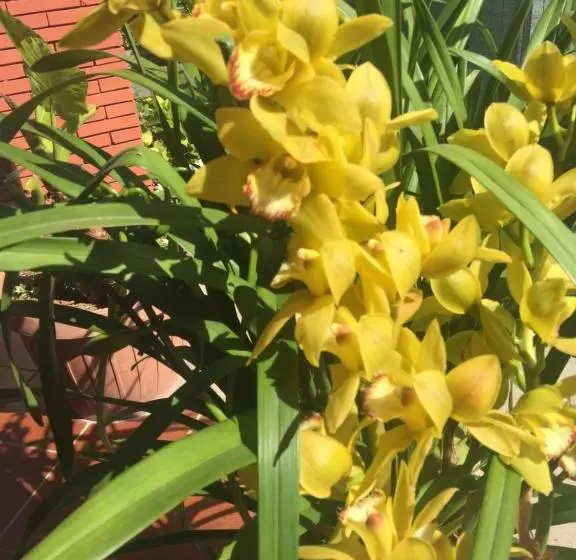 Majatalo Relais Villa Italia