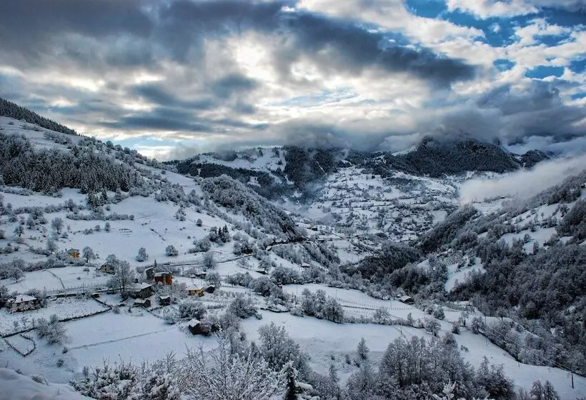 Majatalo Süllü Dağ Evi