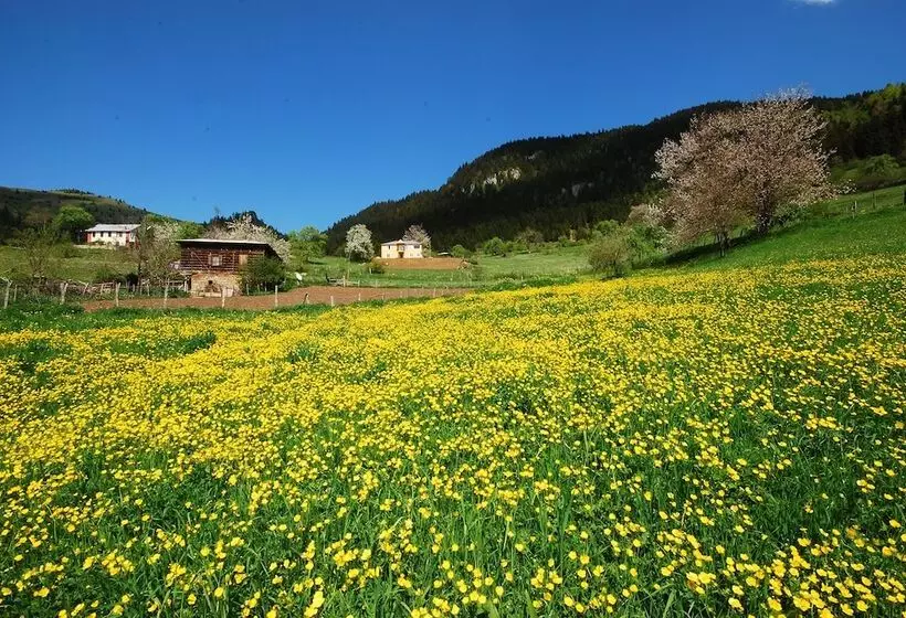 Majatalo Süllü Dağ Evi