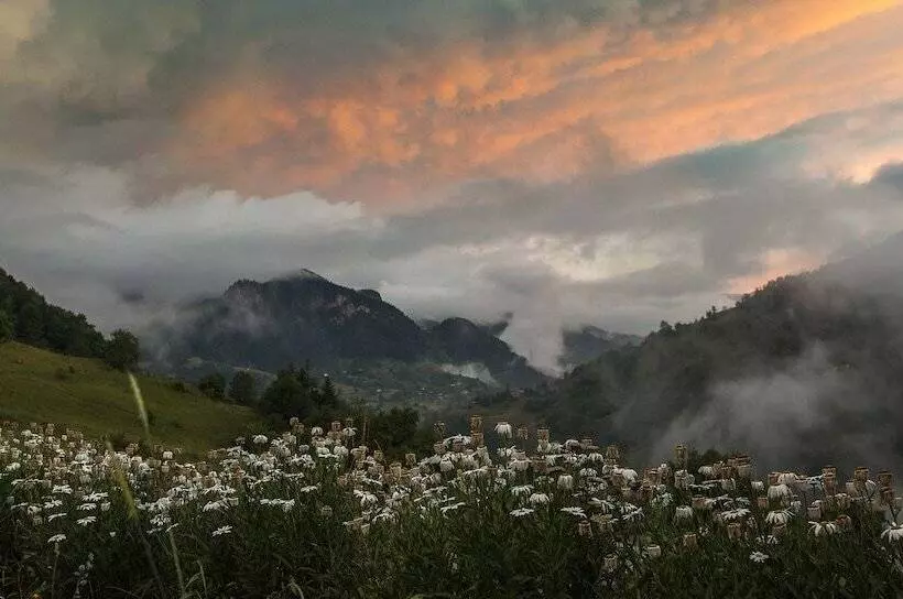 Majatalo Süllü Dağ Evi