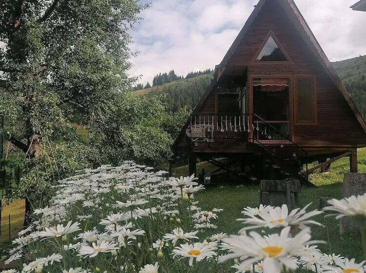 Majatalo Süllü Dağ Evi