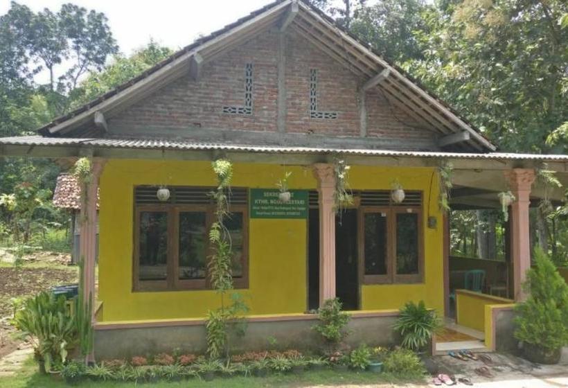 הוסטל Argosari Homestay Syariah