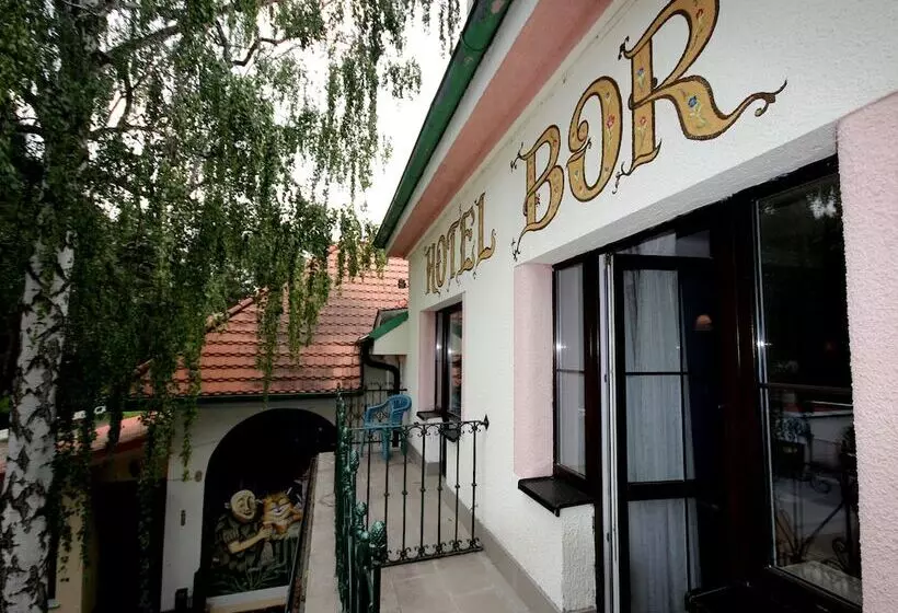 Hotelli Bor