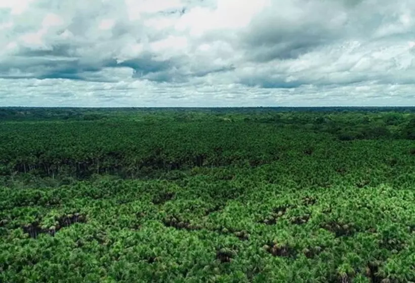 ホテル Ecoamazonia Lodge