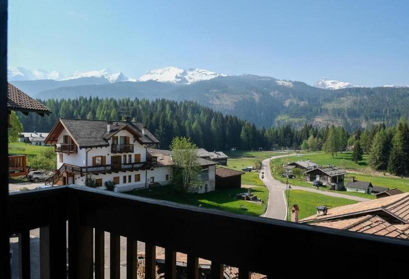 Отель Garnì Belvedere