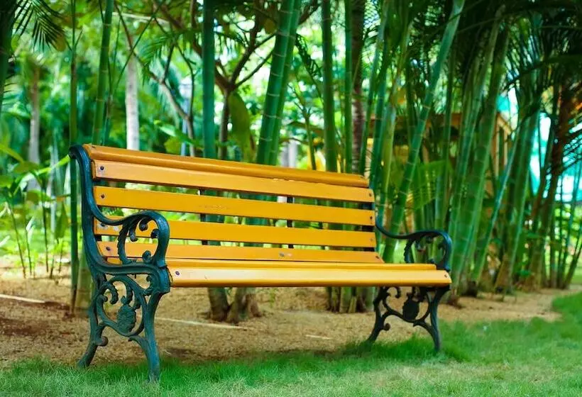 Mangrove Resorts