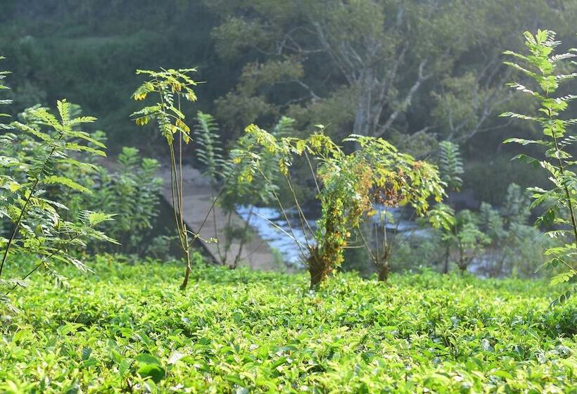 بنسيون Knuckles Heaven Nature Resort