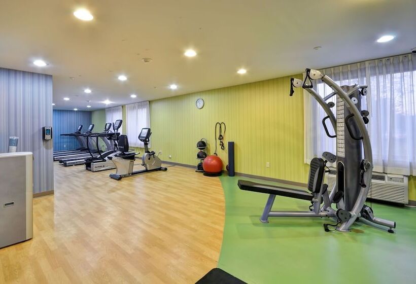 Отель Holiday Inn Express Romulus / Detroit Airport, An Ihg