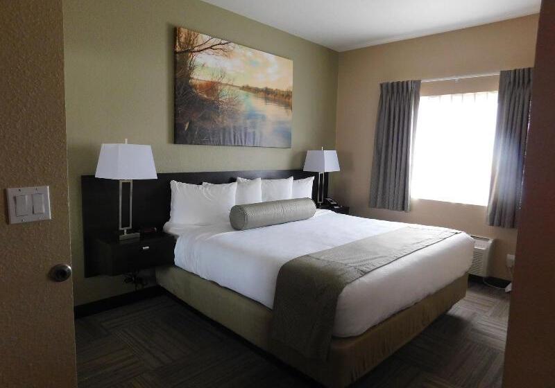 فندق Island Suites