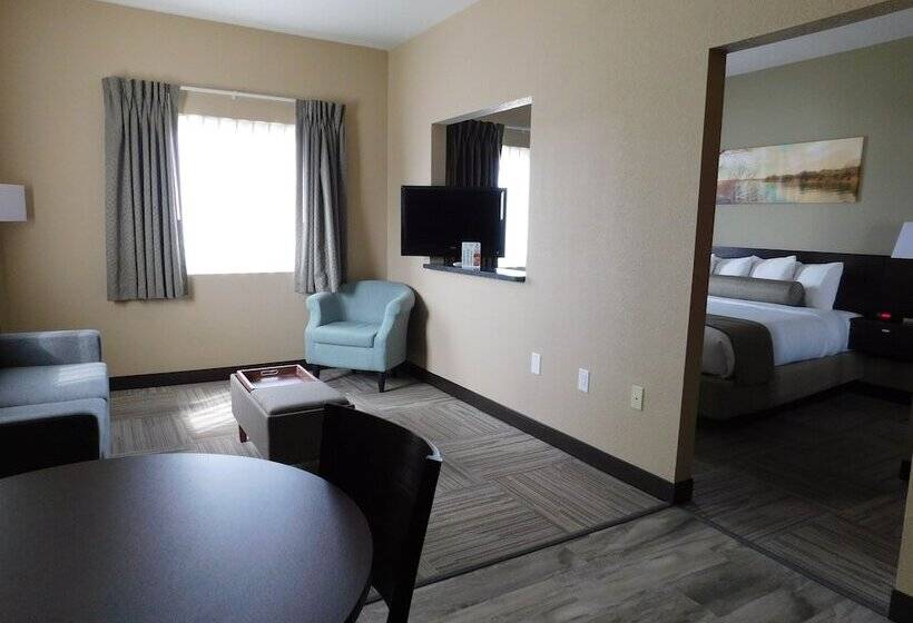 فندق Island Suites