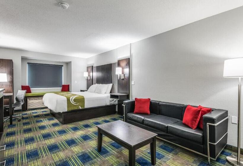 Отель Quality Inn Owatonna Near Medical Center