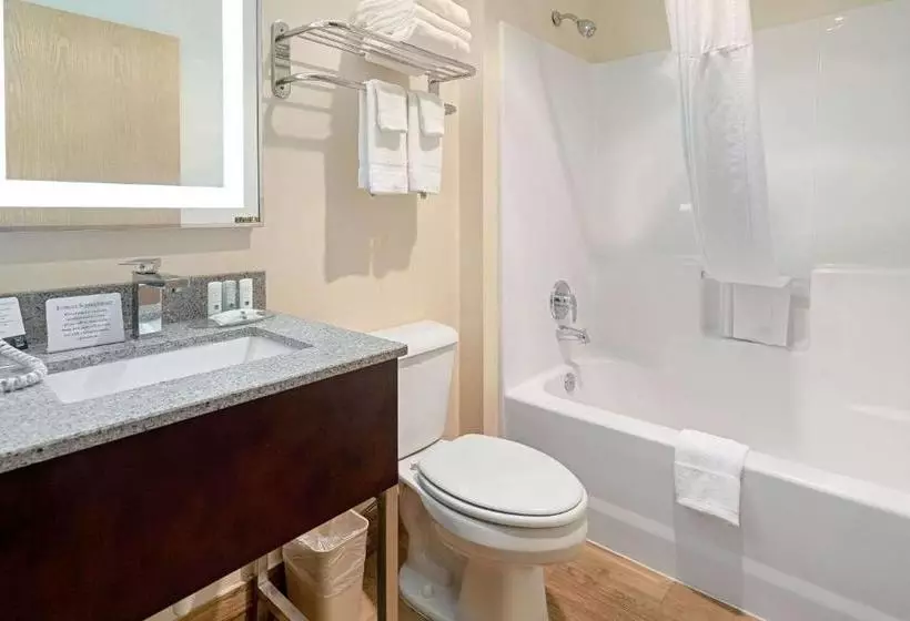 酒店 Quality Inn & Suites