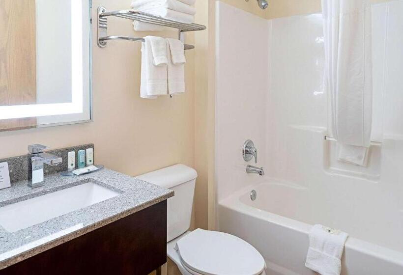 Отель Quality Inn & Suites