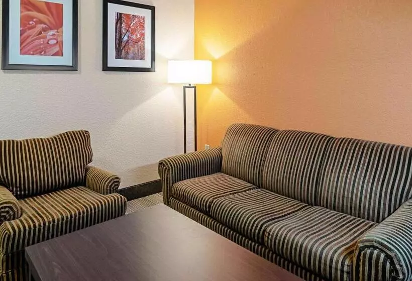 酒店 Quality Inn & Suites