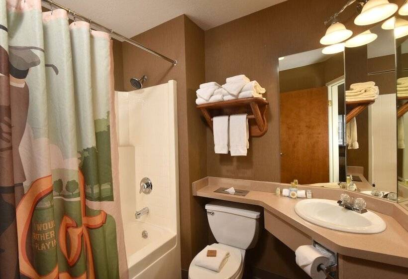 Stoney Creek Hotel La Crosse   Onalaska