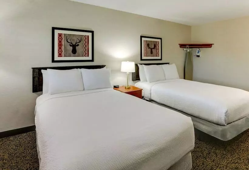 Stoney Creek Hotel Peoria